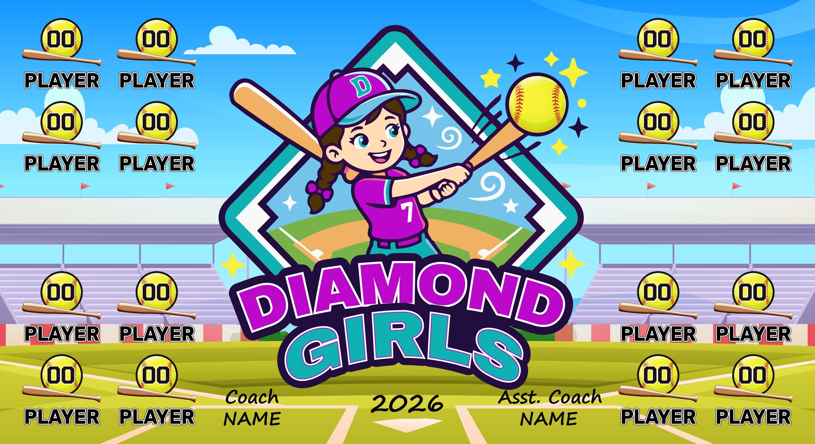 1003S Diamond girls Banner 3x5