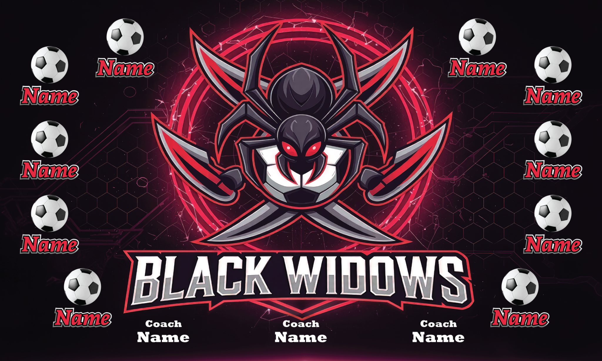 1004 Black Widows Standard Banner 3x5