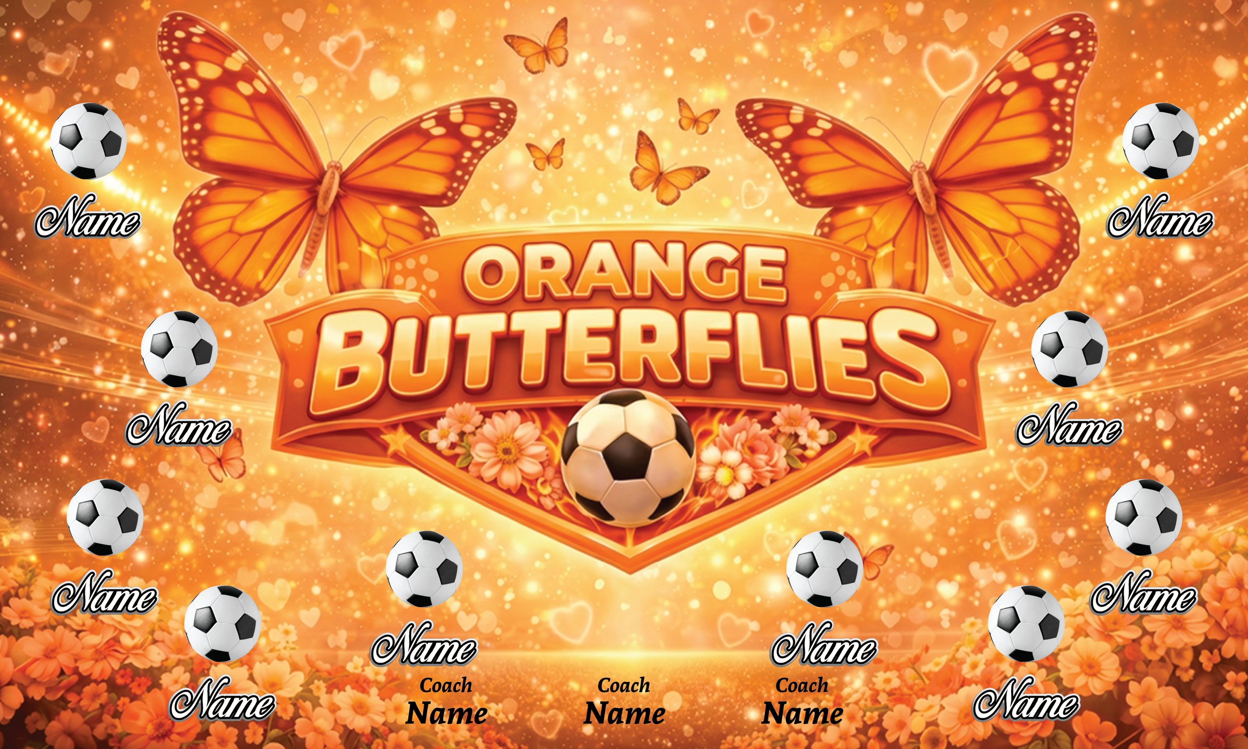 1007 Orange Butterflies Standard Banner 3x5