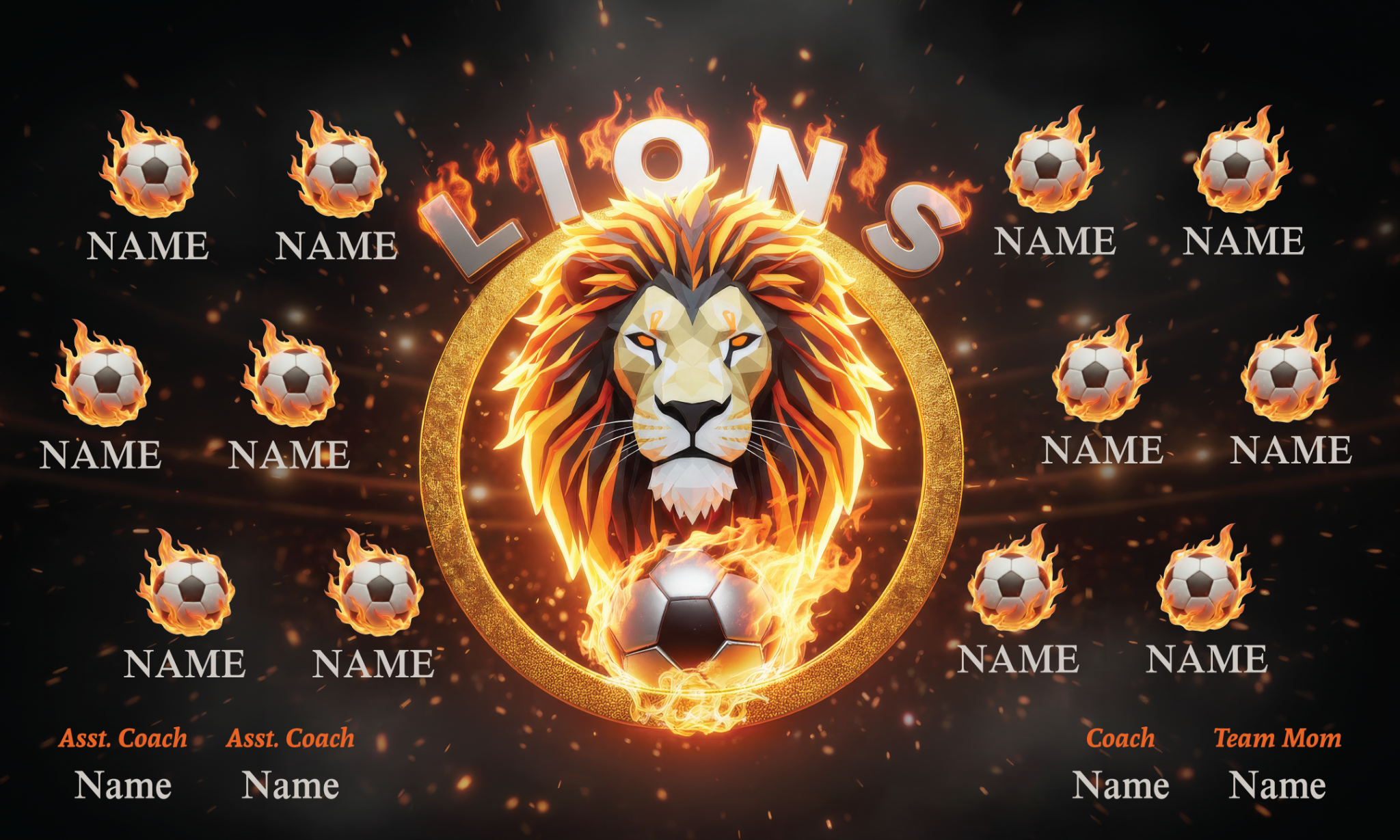 1015 Lions Standard Banner 3x5