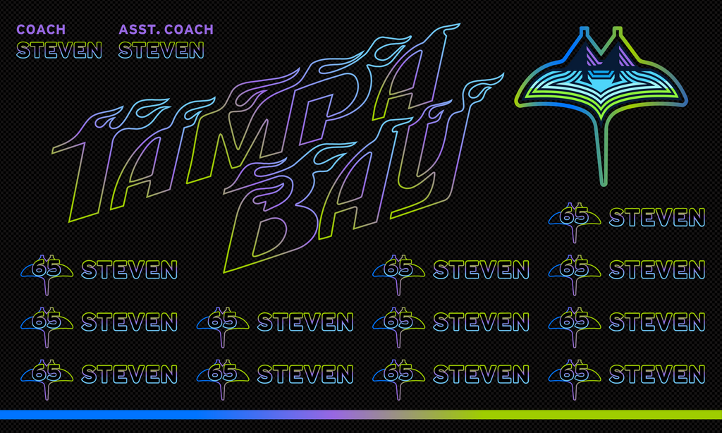 Custom Baseball Team Banner 3x5 ft – Rays 1045B