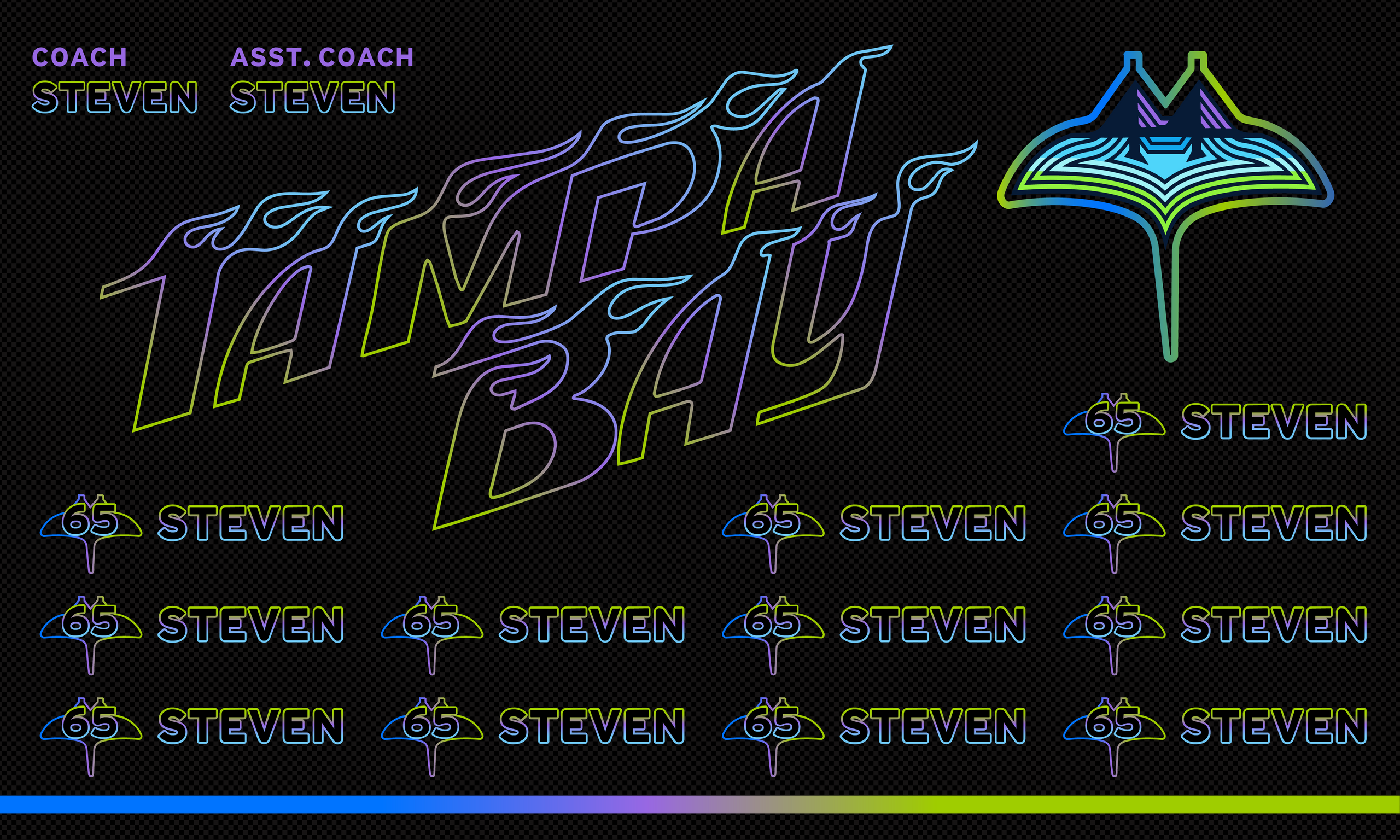 Custom Baseball Team Banner 3x5 ft – Rays 1045B