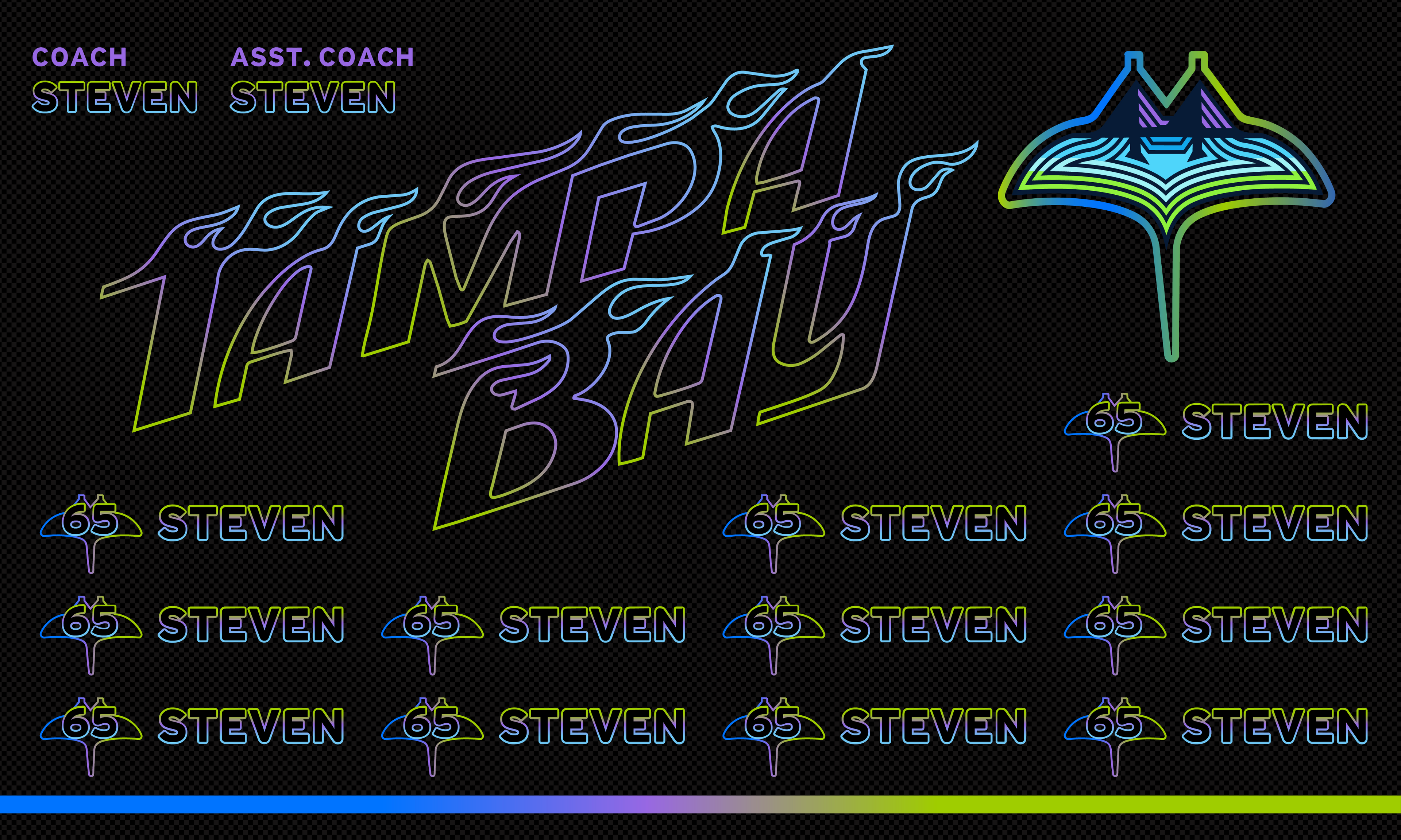 Custom Baseball Team Banner 3x5 ft – Rays 1045B