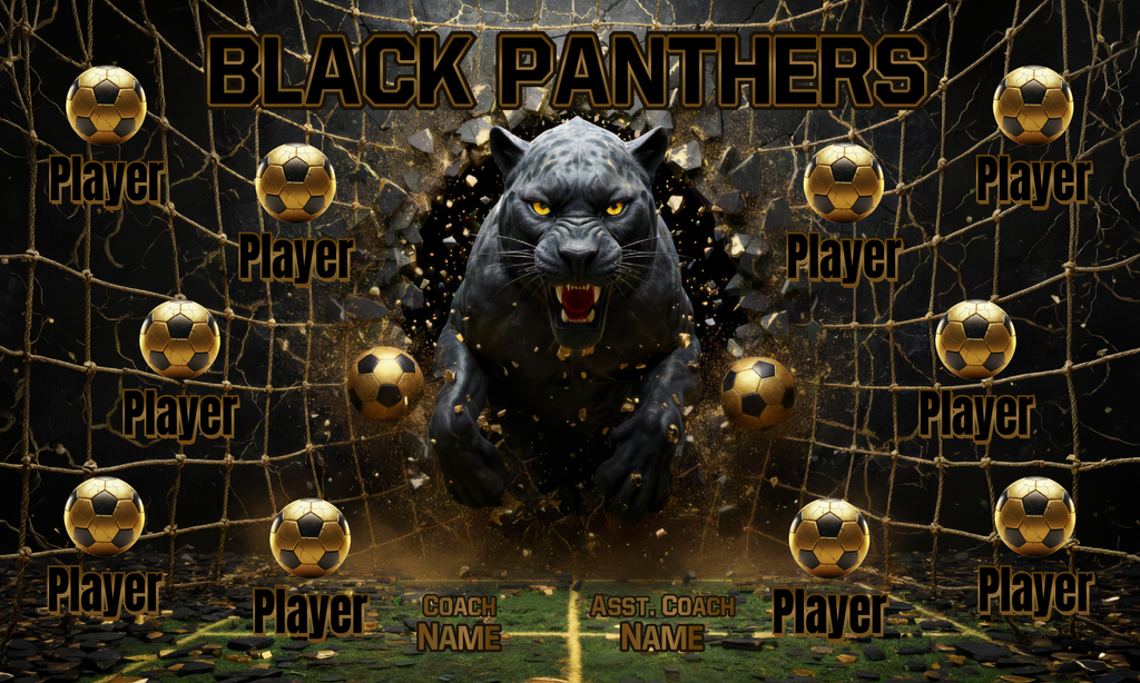 Custom Sports Team Banner 3x5 ft – Black Panthers 1055