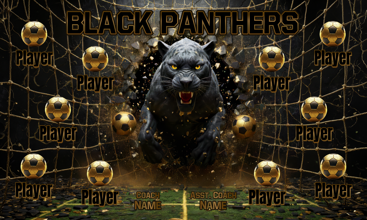 Custom Sports Team Banner 3x5 ft – Black Panthers 1055