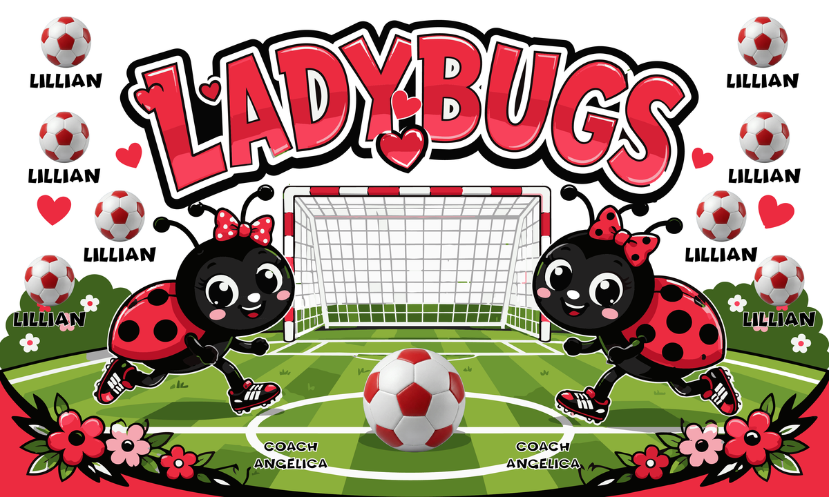 Custom Sports Team Banner 3x5 ft – Ladybugs 1071